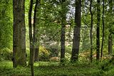 tannenfeld-sommer 2012-099